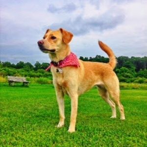 Meet your Posher, Mark